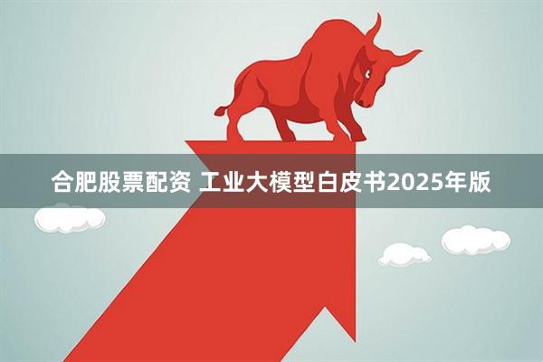 合肥股票配资 工业大模型白皮书2025年版